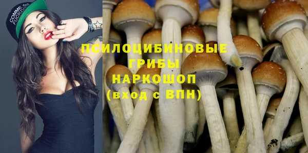 а пвп мука Алзамай