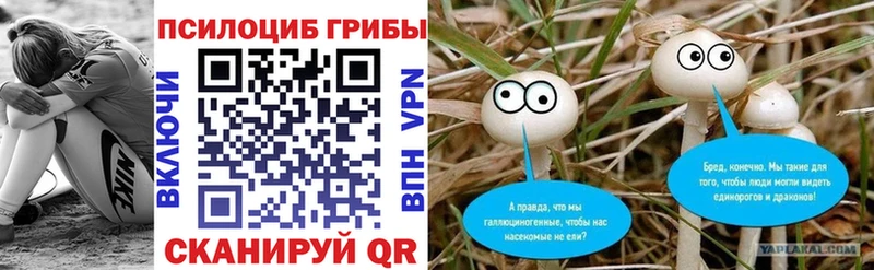 купить  сайты  Балашов  Галлюциногенные грибы Psilocybe 
