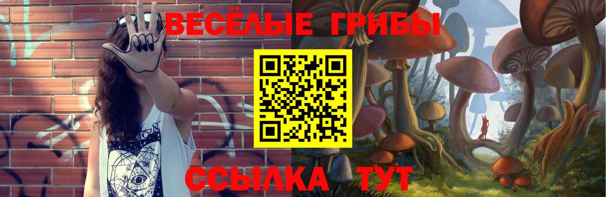 Галлюциногенные грибы GOLDEN TEACHER  Вход с VPN  как найти наркотики  Балашов 